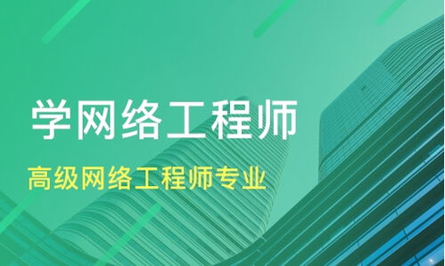上海高级网络工程师培训市场分析 如何选择优质机构并评估合理价格