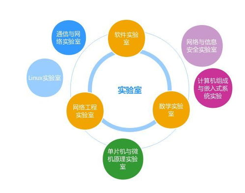 网络如山勤思为径，信息似海安全作舟——浙师教授谈网络工程与网络安全专业